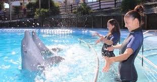 Selwo Marina Dolfinarium