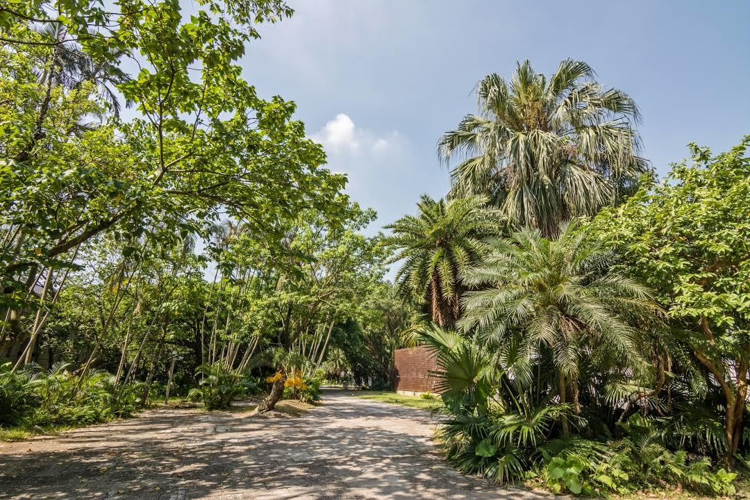 cultureel en kunstcentrum Songshan