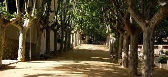 Dalmau Park