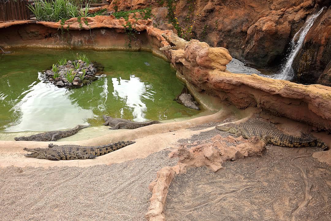 Rancho Texas Park