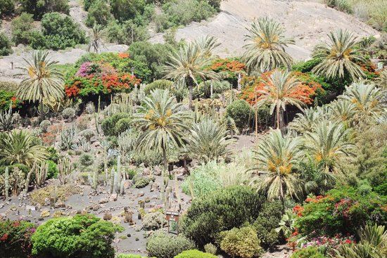Jardin Botanico