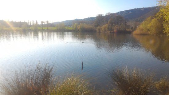 Parc dels Estanys