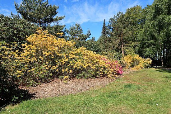 Rhododendronpark