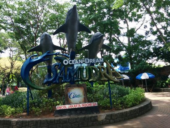 Ocean Dream Samudra