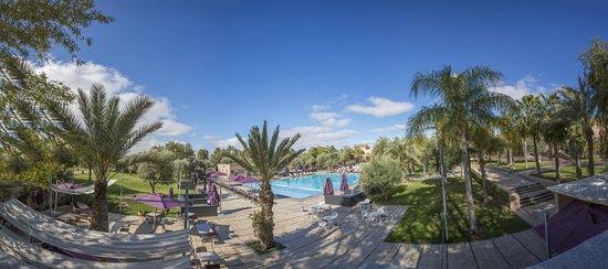 Pool Oasis