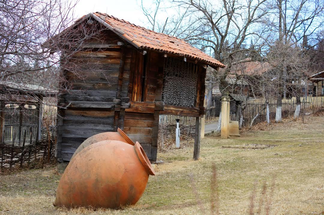 Openluchtmuseum van Etnografie