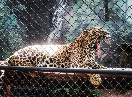 Zoo Bosque Guarani
