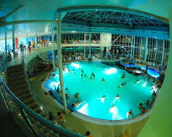 Aquatic Paradise