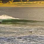 Strand van Ammes
