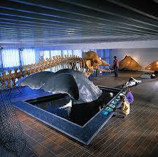 het Natuurhistorisch Museum Göteborg