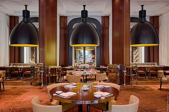 Matsuhisa Paris