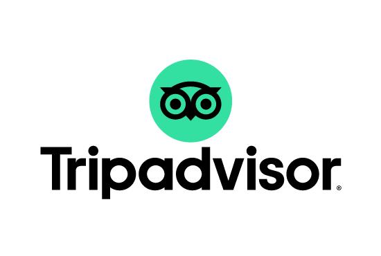 Les coqs en pate