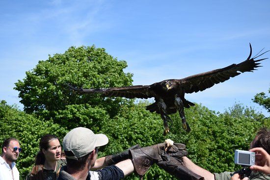 Texel Zoo