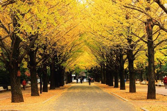Hikarigaoka Park