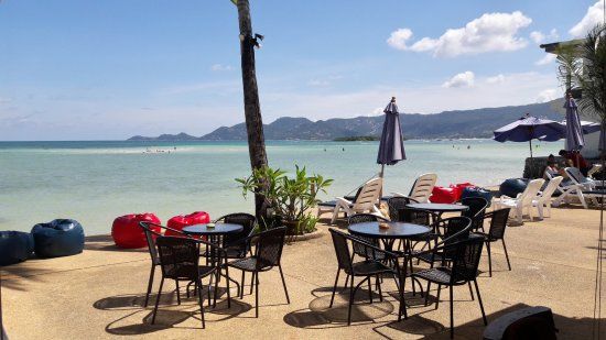Cafe Papillon
