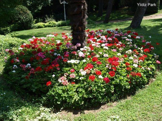 Yıldızpark