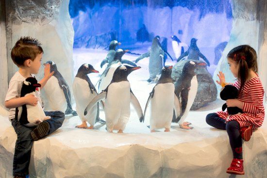 Aquarium Sea Life Paris Val D'Europe