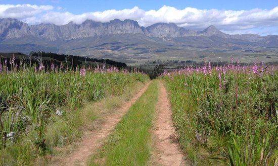 Natuurreservaat Helderberg