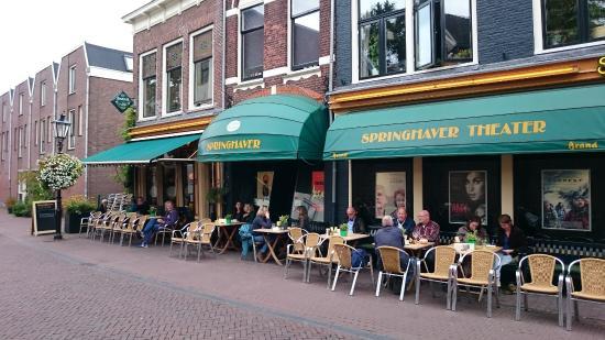 Springhaver