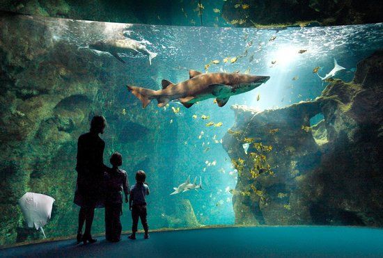 La Rochelle Aquarium