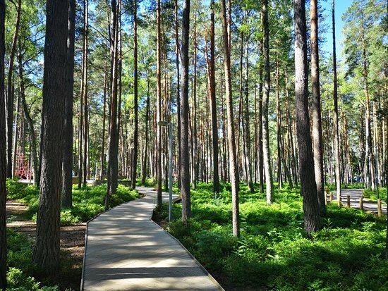 Dzintari Forest Park