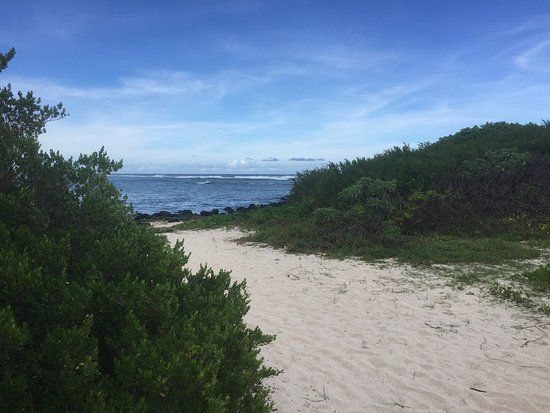 Strand Palmar