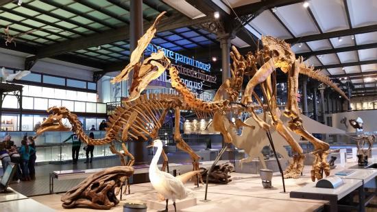 Museum voor Natuurwetenschappen