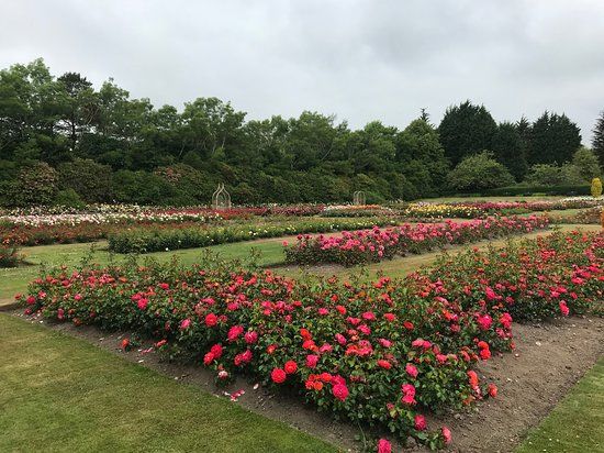 Hazleheadpark