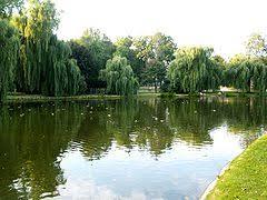 City Garden in Kielce